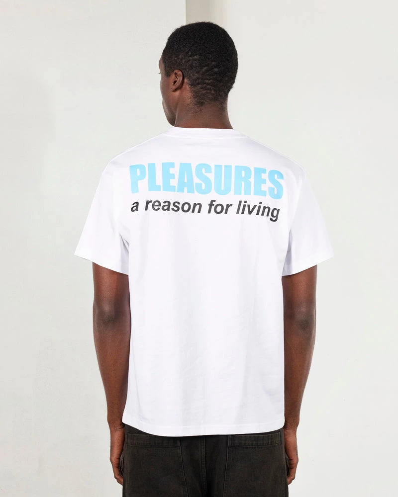 PLEASURES DECAY T-SHIRT WHITE - Tôpette Skateboards & Lifestyle