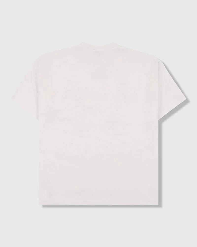 PLEASURES X OASIS NORDIQUE T-SHIRT VINTAGE WHITE - Tôpette Skateboards & Lifestyle